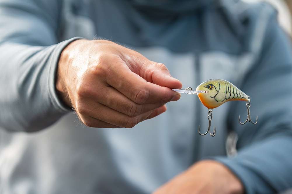 A solid crankbait that catches them everywhere. The DT series comes in shallow models up to deep models. When covering water looking for bass, it's a go-to for Downey.
