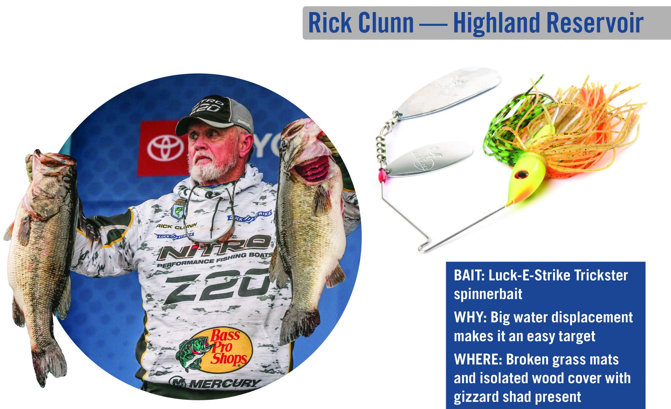 Land of giants: The hunt for fall studs - Bassmaster