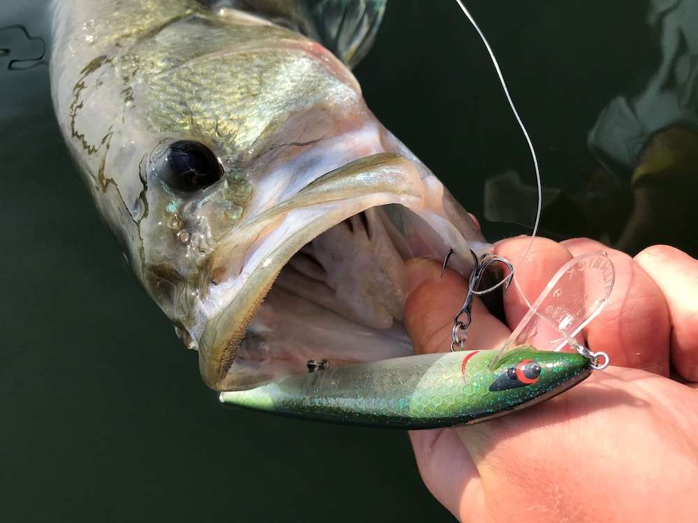 5 smallmouth baits for summer fishing - Bassmaster