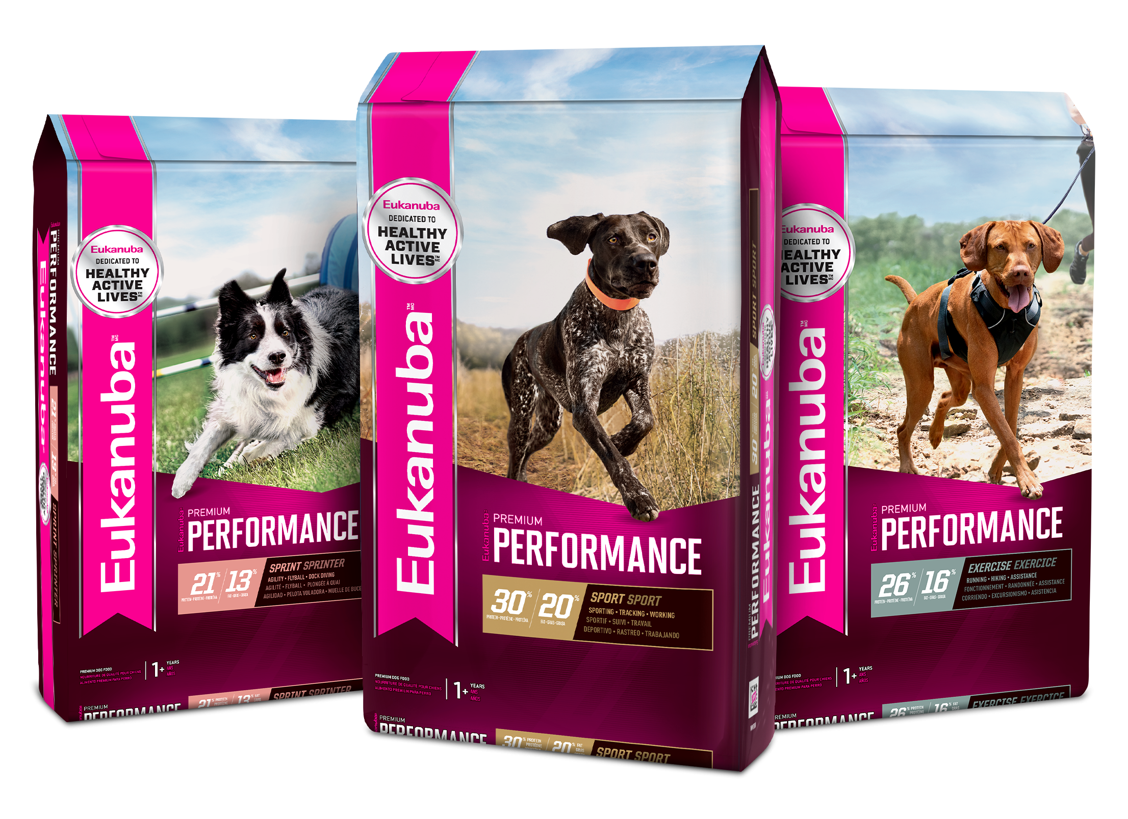 <p><strong>EUKANUBA Premium Performance Dog Food</strong></p><p>You can't forget about your four-legged friends this season, and a great gift for them is EUKANUBA. You can choose a nutrient level based on the activity for your dog, and every one of them supports their joints, brain function and building muscle. They even support post-exercise recovery after a long day of bank fishing. <a href=