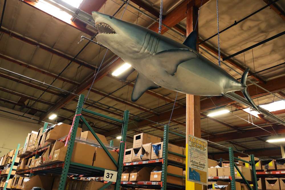 The warehouse is packed to the gills with fish mounts and AFTCO signs. What do you think the story is with this 1,000-pound Mako Shark?