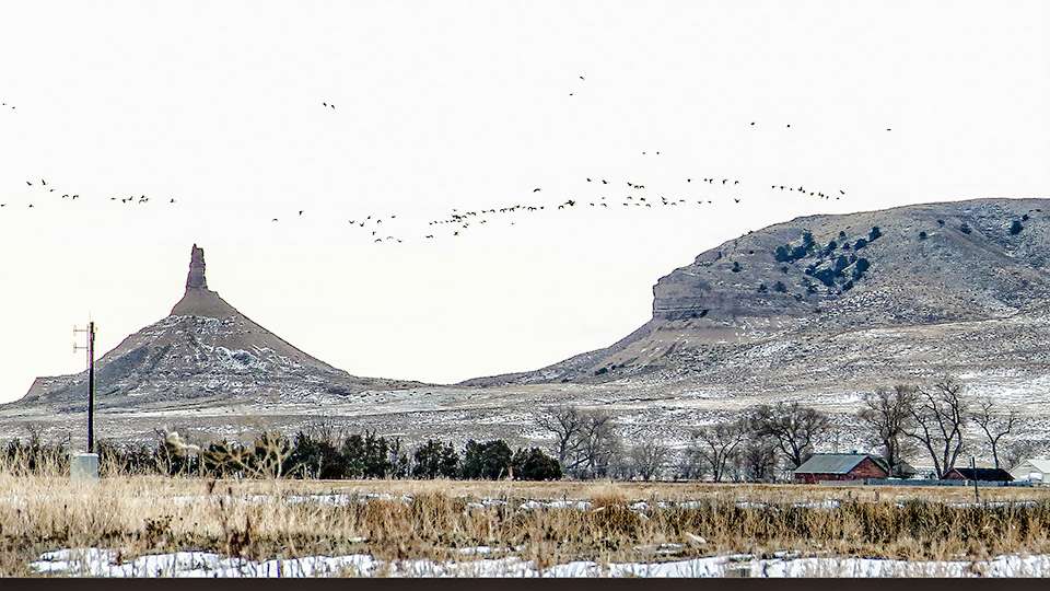 Off in the distance, Chimney Rock sees a ton of waterfowl pass its way regularly. 