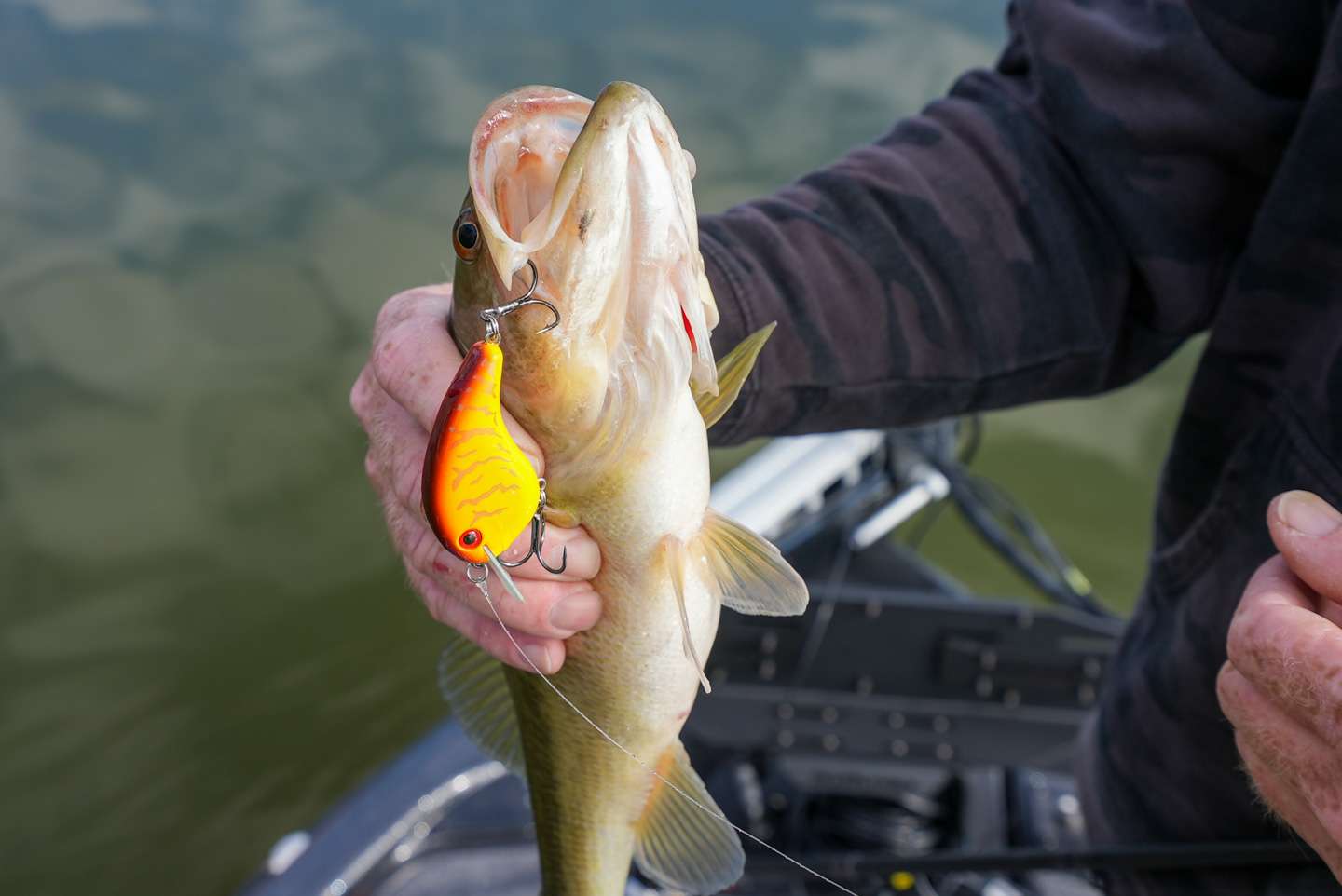Moving baits like this shallow running crankbait can be dynamite, but lets figure out what 2021 Bassmaster Elite Series Rookie of the Year Josh Stracner has tied on during the prespawn period. 