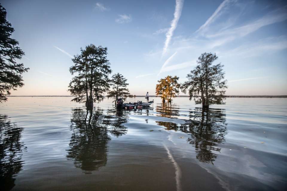 Lake Marion and Lake Moultrie make up the Santee Cooper Lakes, and the fisheries offer visiting anglers and fans the added comfort of numerous campgrounds, ramps and marinas.