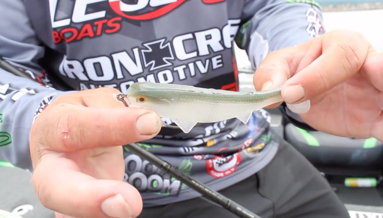 Roumbanis Power fishing Swimbait Bassmaster