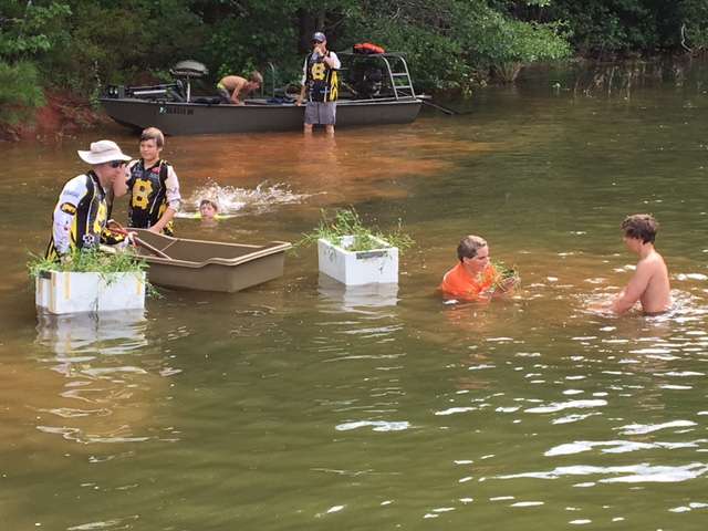 Georgia Nation restores West Point Lake vegetation - Bassmaster