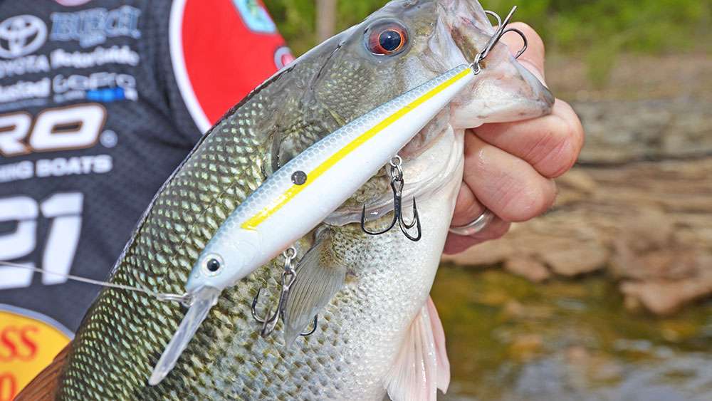 Buyer's Guide: Best Jerkbaits For Bass Fishing 