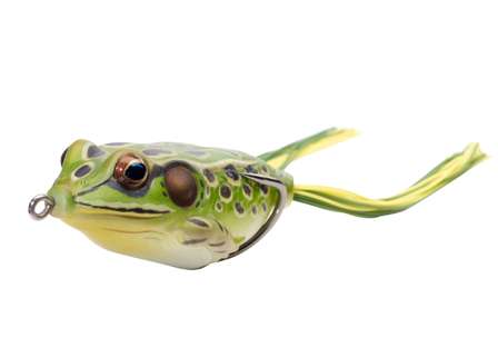 Frog Fishing is One of the Most Popular Ways to Catch Shallow
