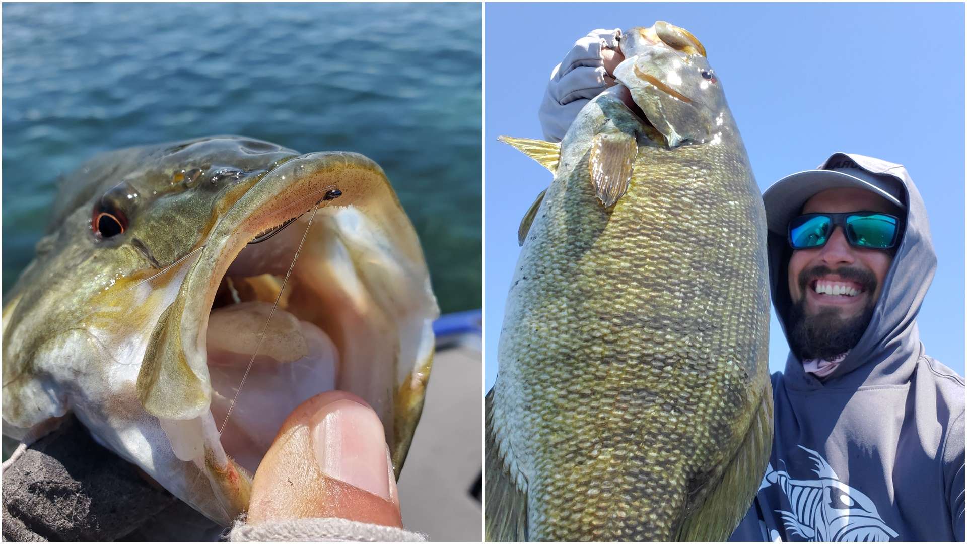 What to Throw for the Summer Bass Bite