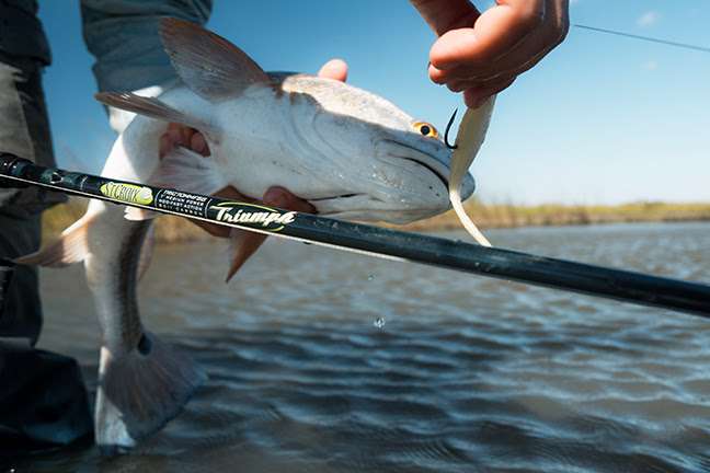 Spring tactics for redfish and sea trout from St. Croix - Bassmaster