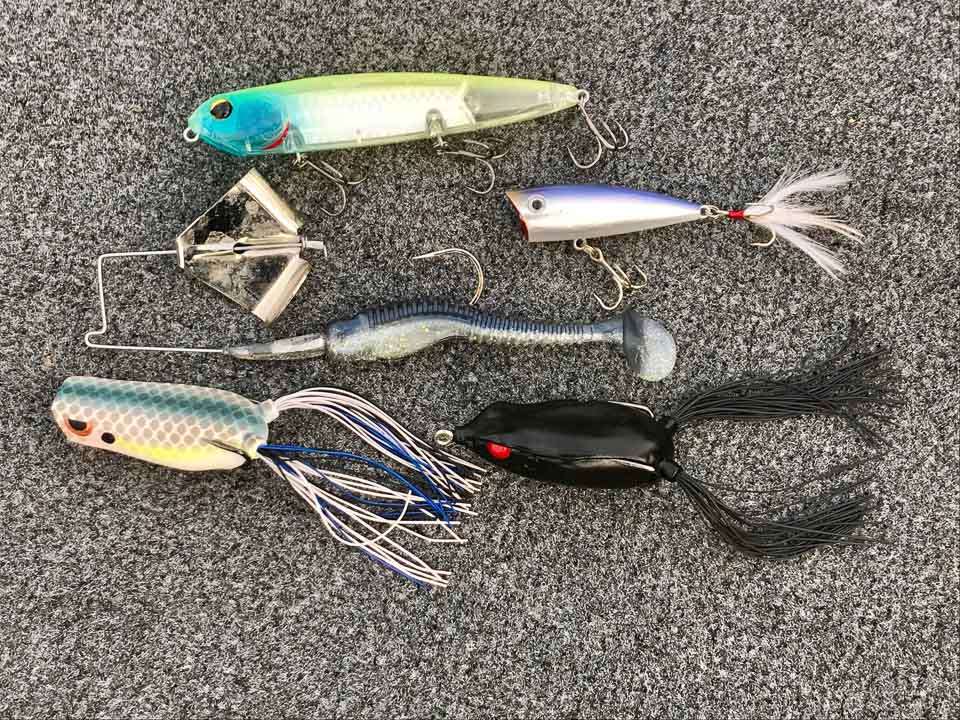 Elite tips for topwater plugs Bassmaster