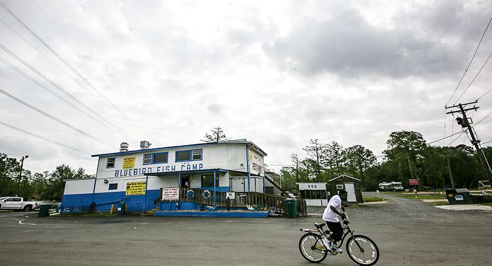 A trip to Bluebirds Fish Camp - Bassmaster