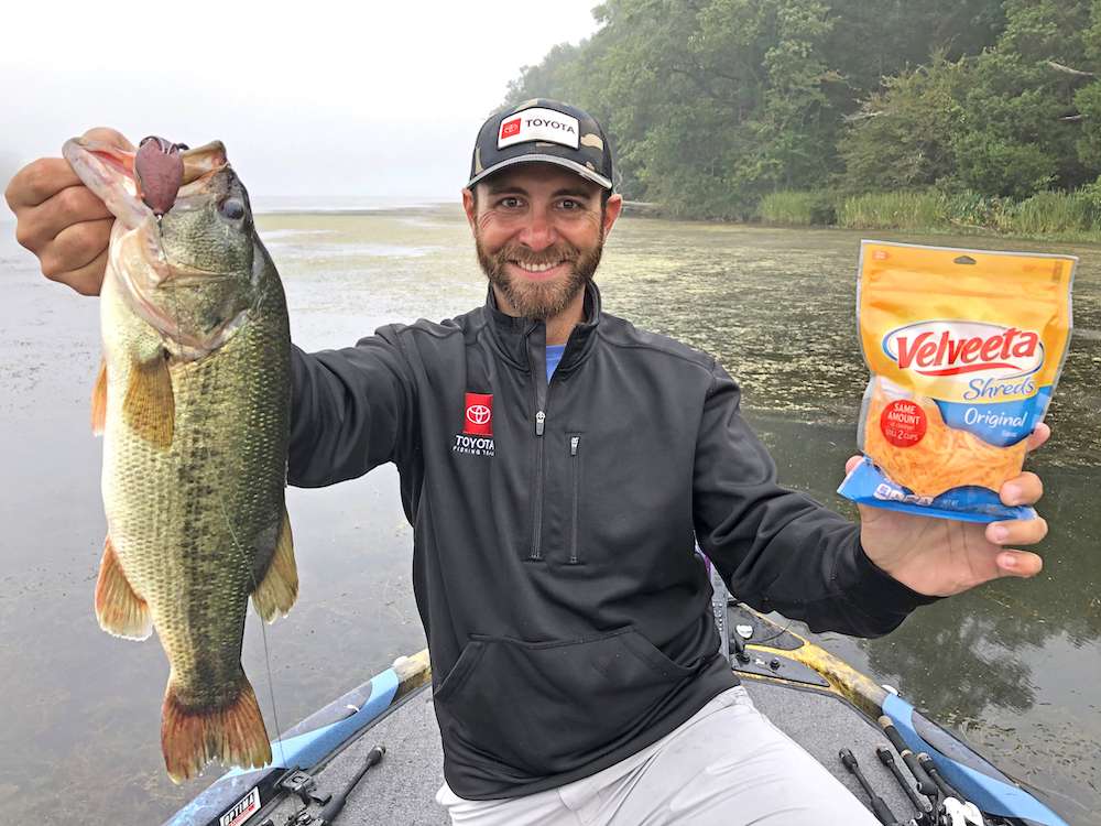 Lester's 2 tips for fishing the fall 'cheese' Bassmaster