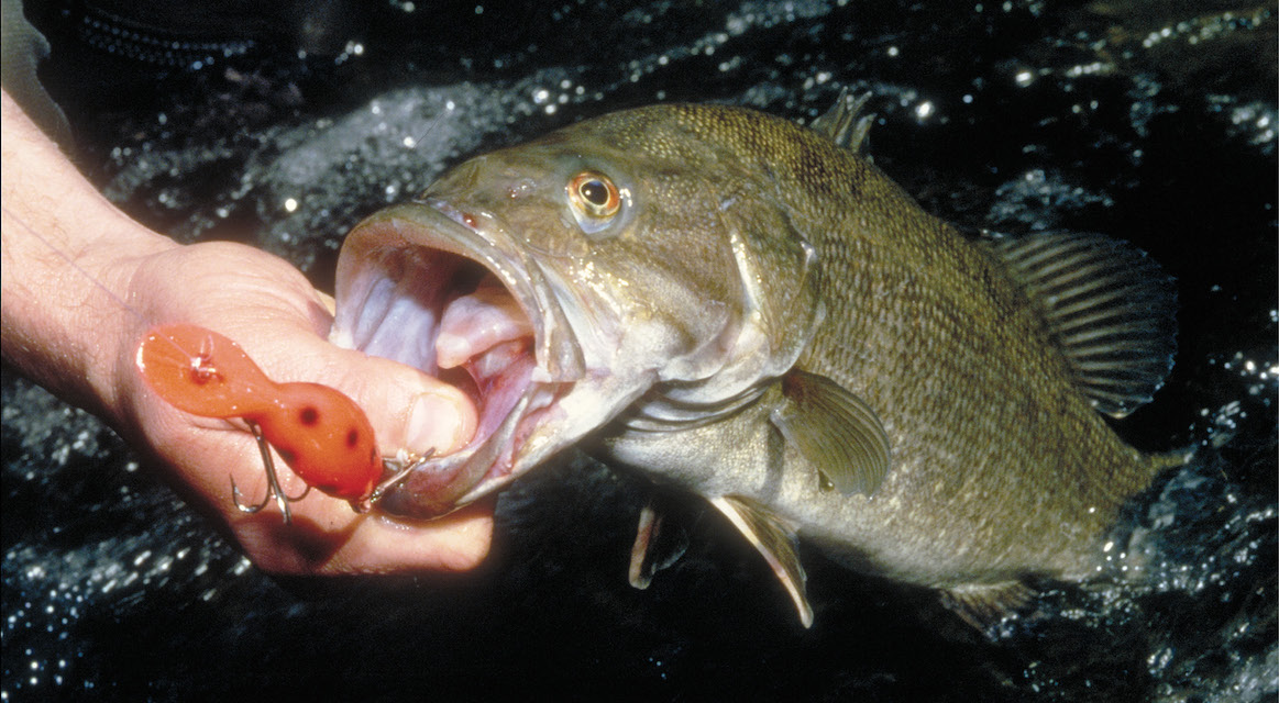 DNR: Fish & Wildlife: Largemouth Bass Fishing