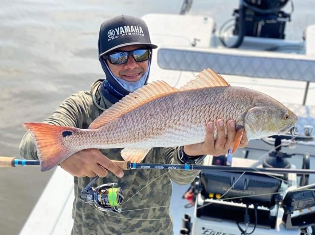 Redfish: Make the most of mullet meaning - Bassmaster