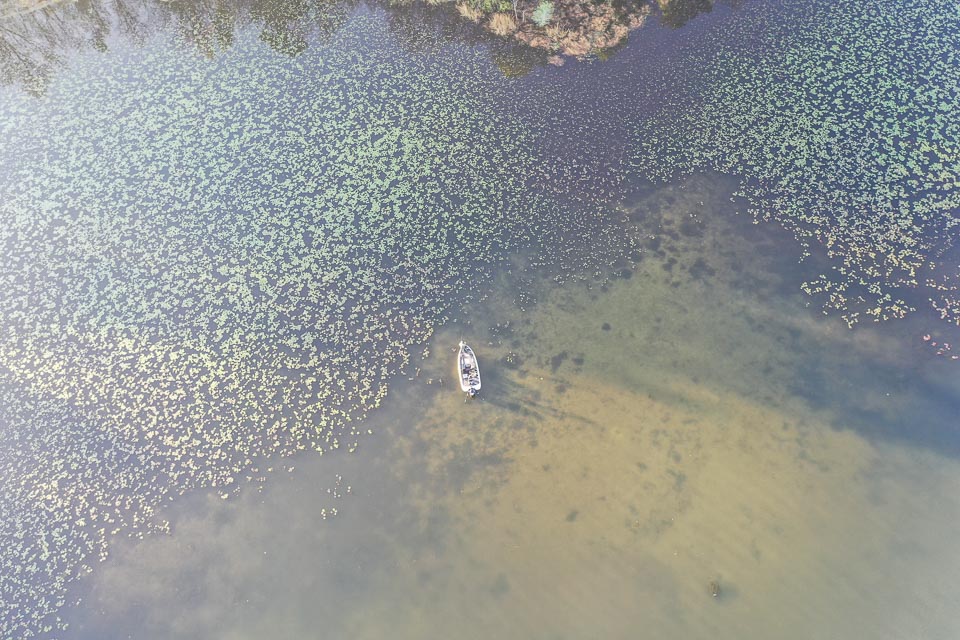 An overhead view of Drew Cook fishing Santee Cooper Lakes.