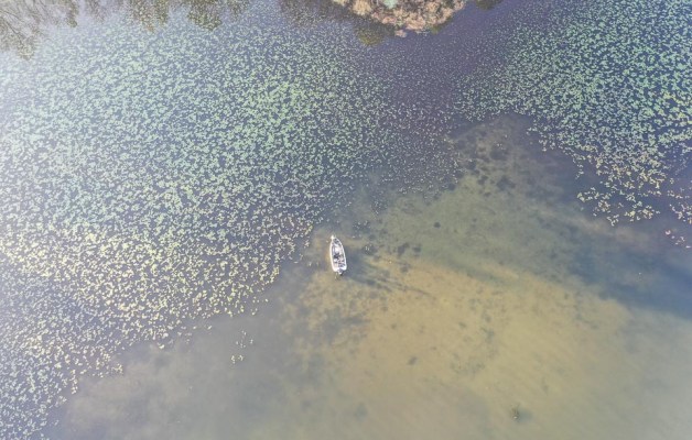 An overhead view of Drew Cook fishing Santee Cooper Lakes.