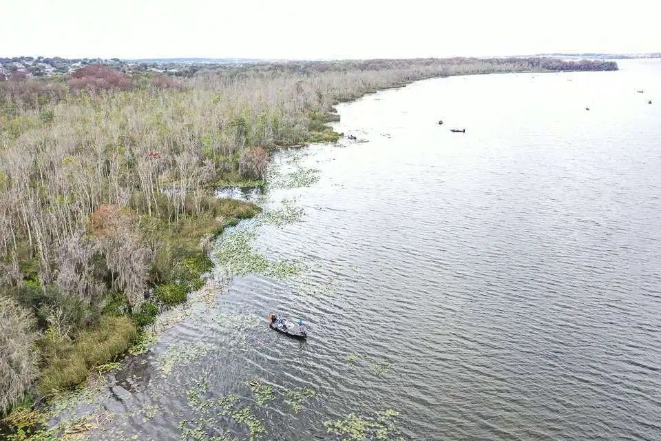 Bass boats fish on the Harris Chain of Lakes in Florida