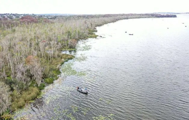 Bass boats fish on the Harris Chain of Lakes in Florida