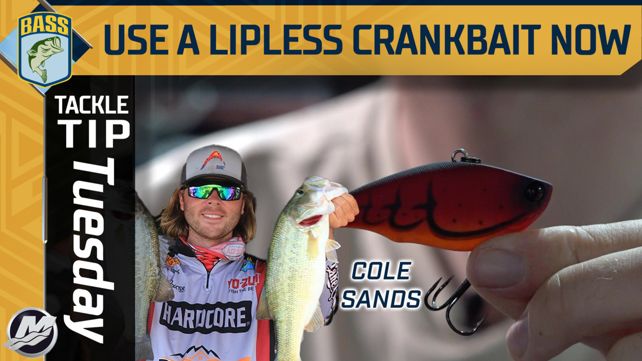 Tackle Tip Tuesday: Lipless crankbait fishing 101 with Cole Sands