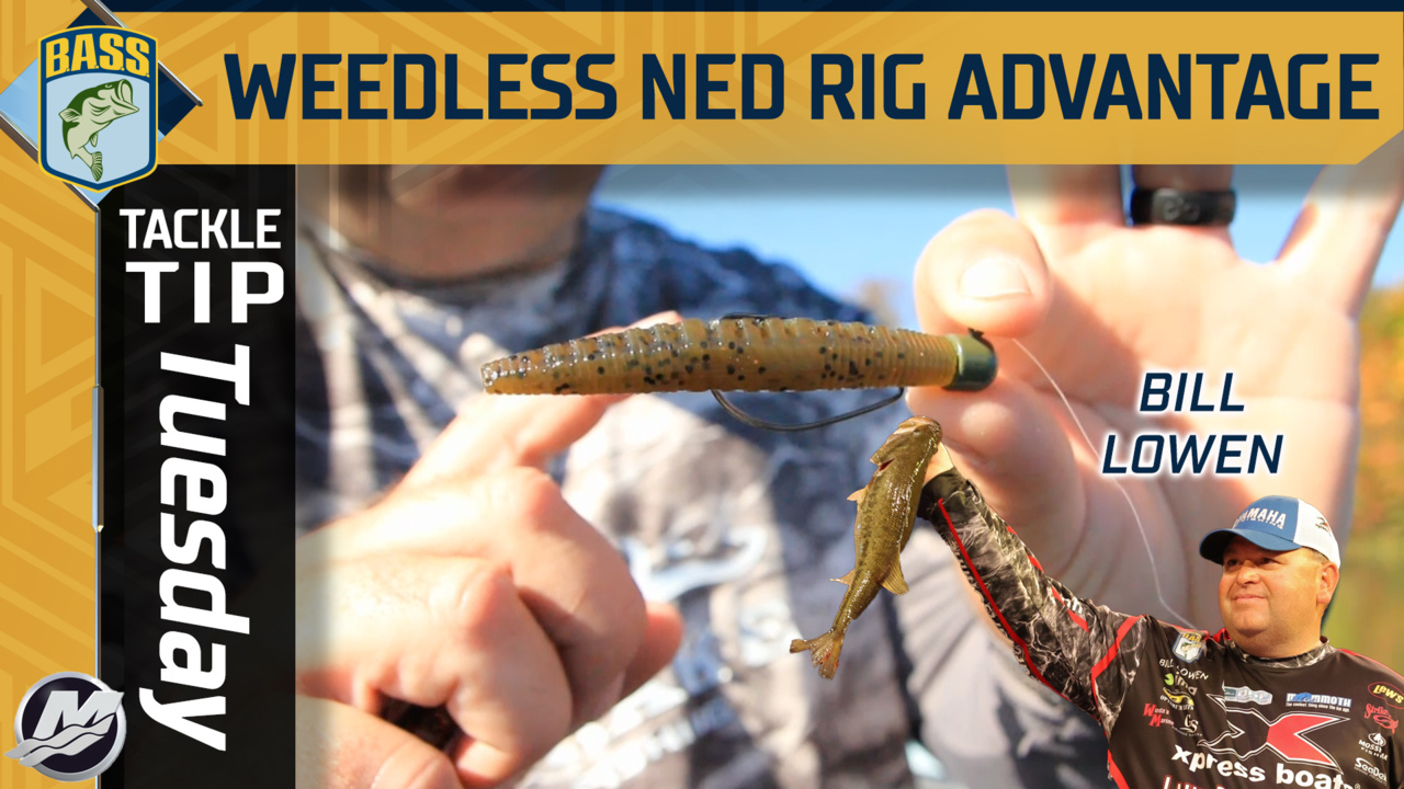 Tackle Tip Tuesday: Bill Lowen's shallow advantage of a weedless Ned rig -  Bassmaster