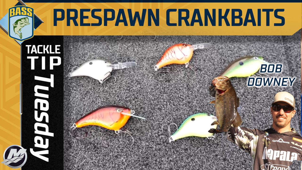 Tackle Tip Tuesday: Crankbait selection for bass in the prespawn