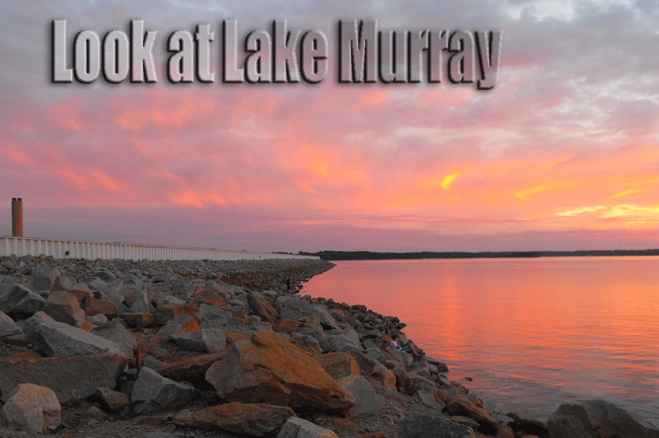 A look at Lake Murray - Bassmaster