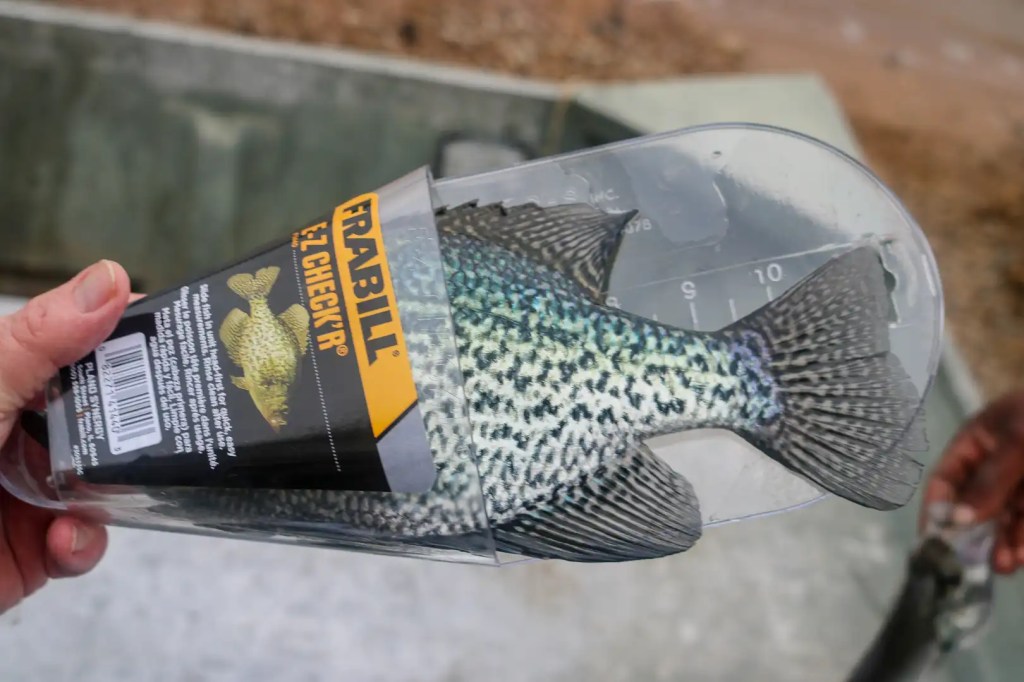 Seven things to know about crappie fishing - Bassmaster