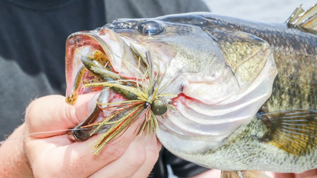 Jigs deserve a place in every bass angler's tacklebox - Bassmaster