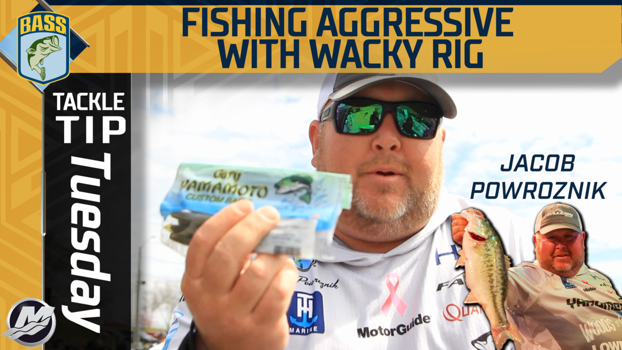 Tackle Tip Tuesday: Fishing a wacky rig fast for big bass - Bassmaster