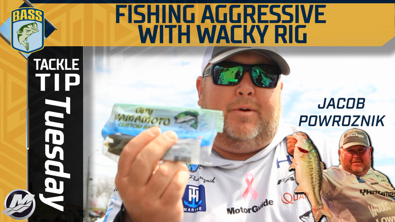 Tackle Tip Tuesday Fishing a wacky rig fast for big bass Bassmaster