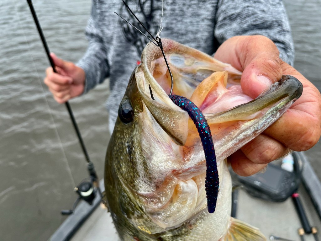 New for 2023: YUM Finesse Worm - Bassmaster