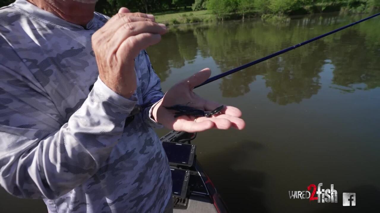 On the Water with the Z-Man® ChatterBait Elite EVO™ - Bassmaster