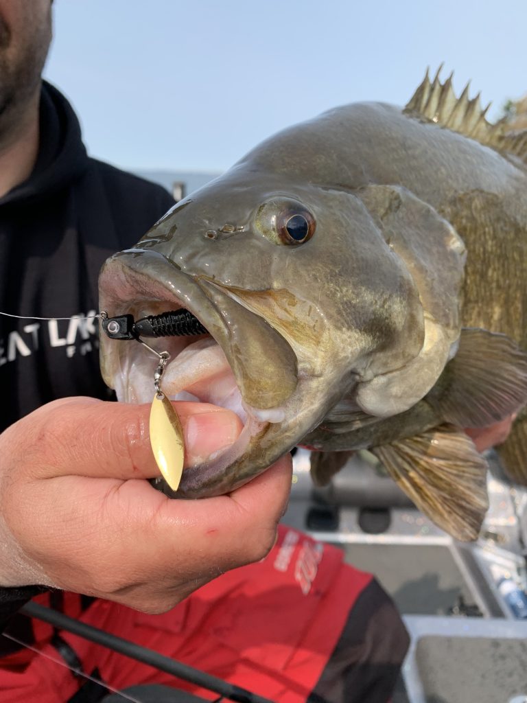 New for 2023: Great Lakes Finesse Sneaky Underspin - Bassmaster