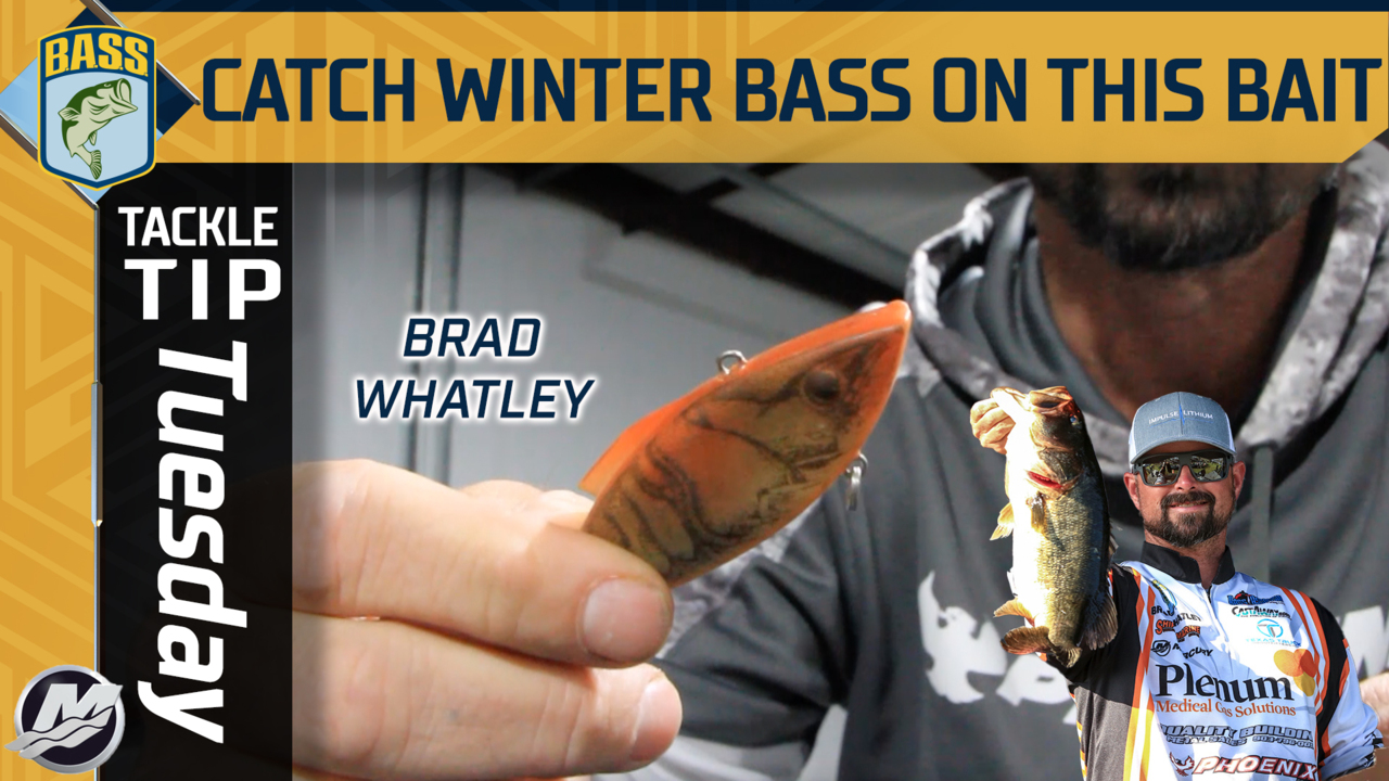 Tackle Tip Tuesday: Catching winter bass powerfishing with lipless  crankbaits - Bassmaster