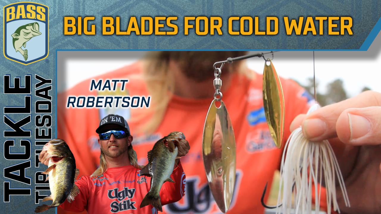 Tackle Tip Tuesday: Robertson's big blades for cold water - Bassmaster
