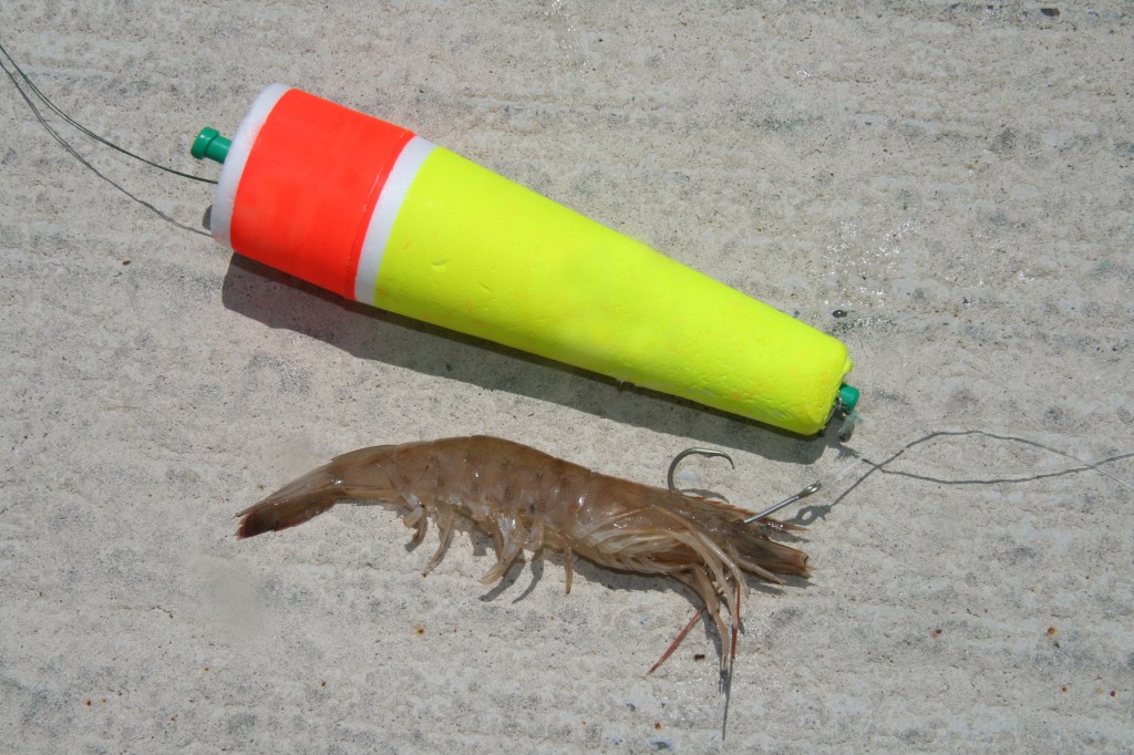 Anyone who fishes with live shrimp should never be without this in