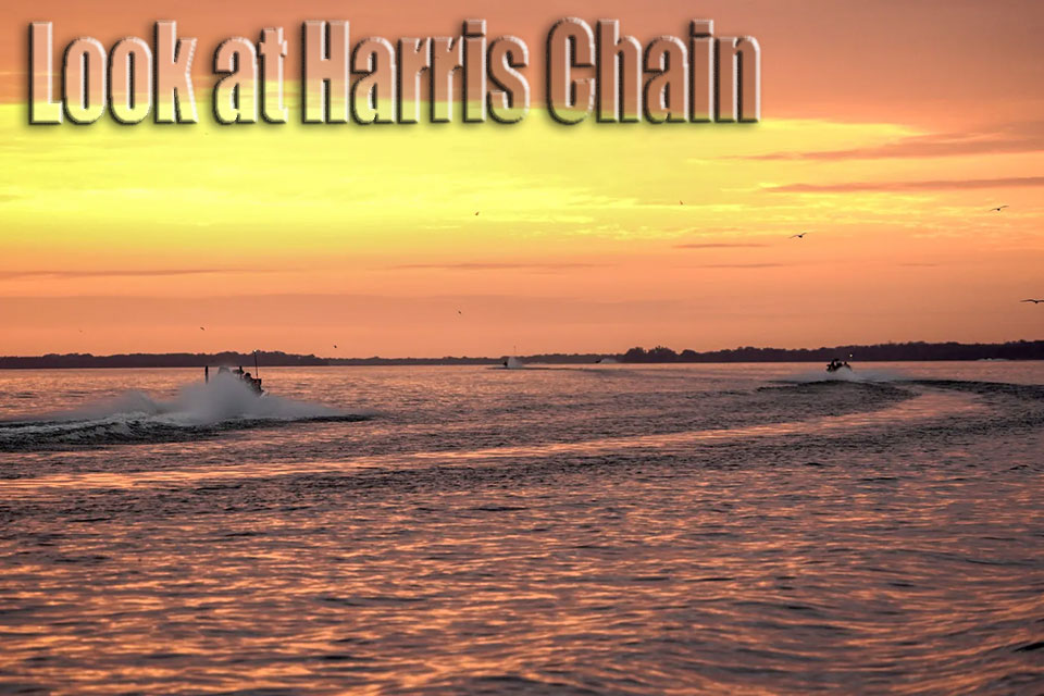 A look at Harris Chain 2024 - Bassmaster
