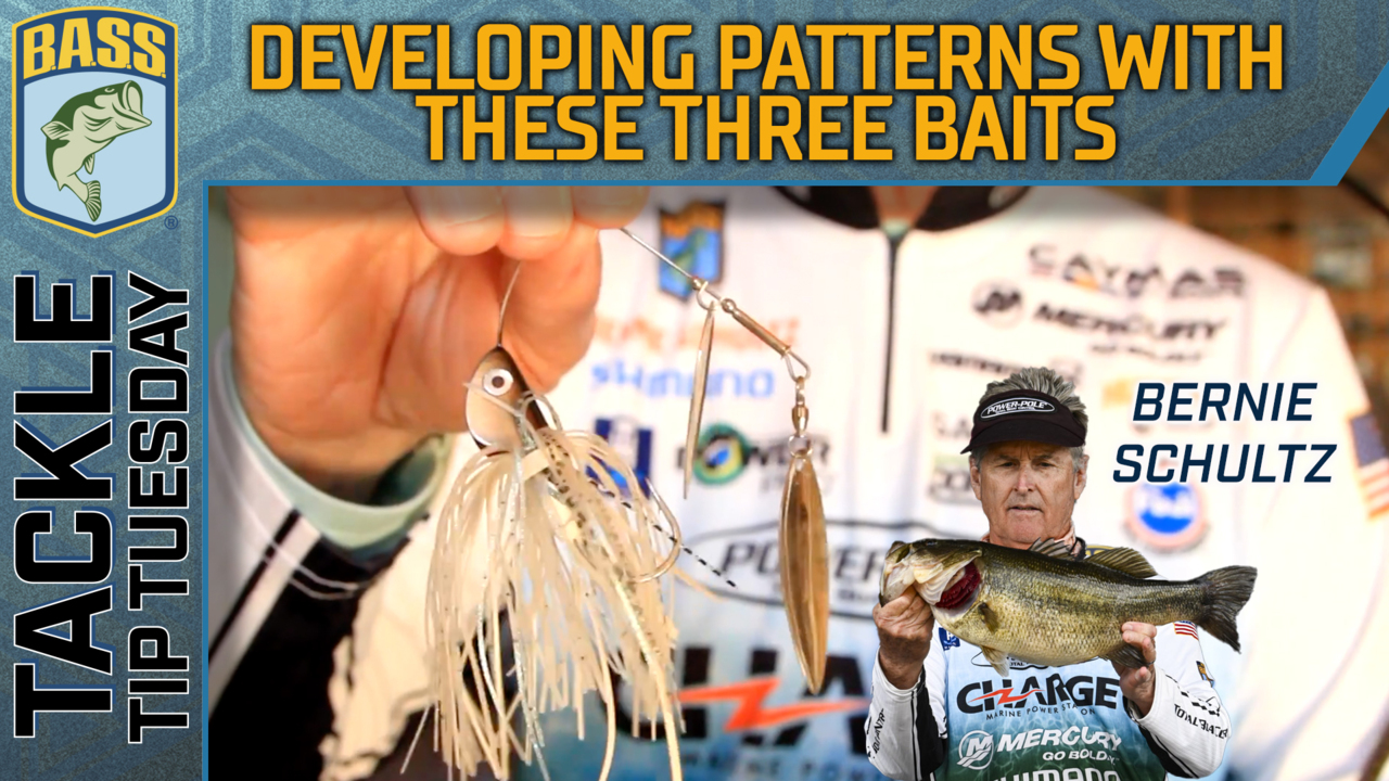 Tackle Tip Tuesday: Schultz's three search baits for developing a pattern -  Bassmaster