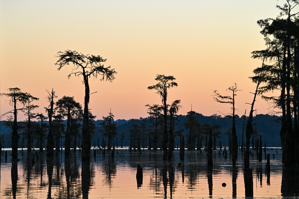 Kayak Day 2 at Caddo Lake Bassmaster
