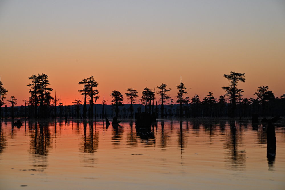 Kayak Day 2 at Caddo Lake Bassmaster