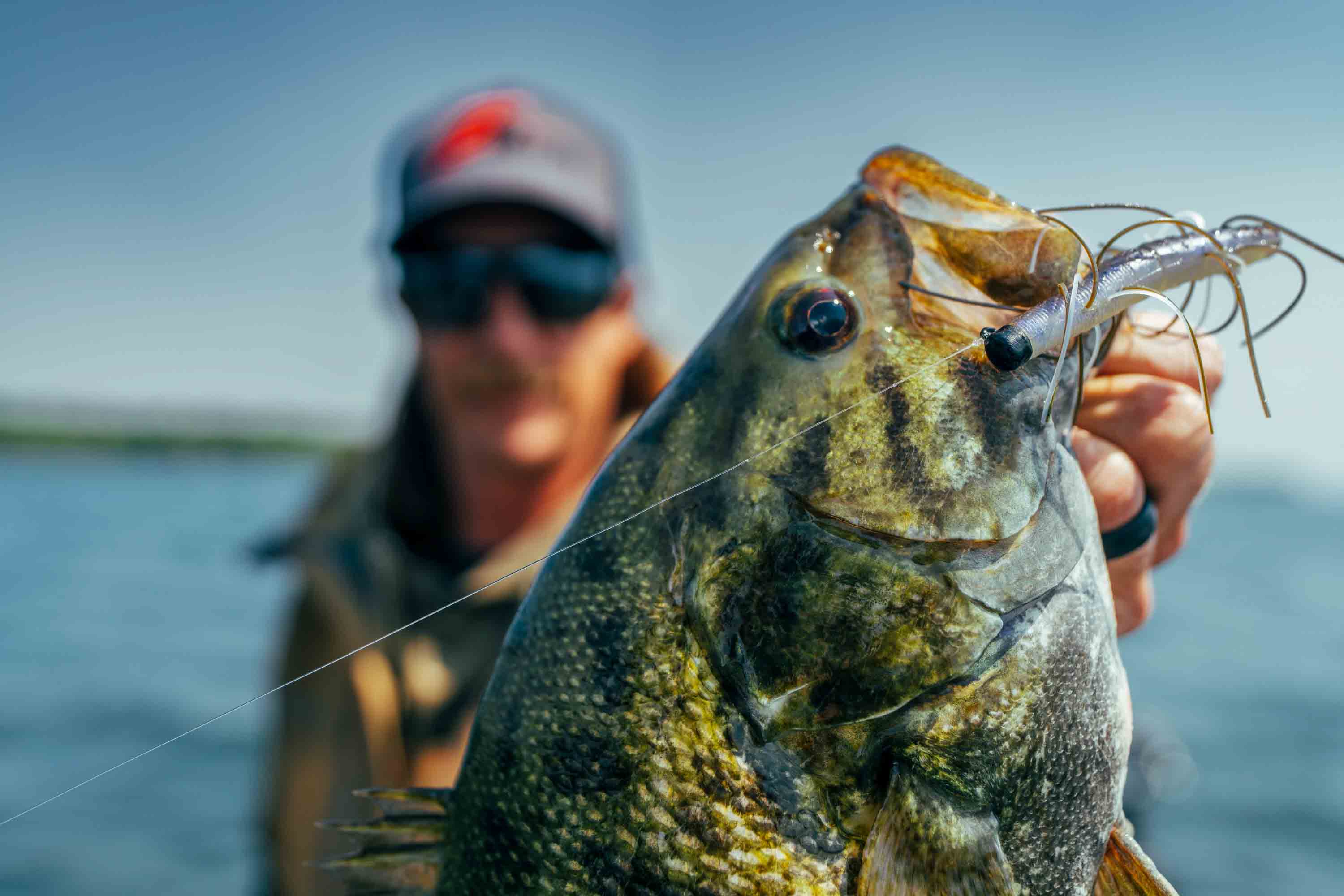 NEW Z-Man Fuzzy TRDZ! - Bassmaster