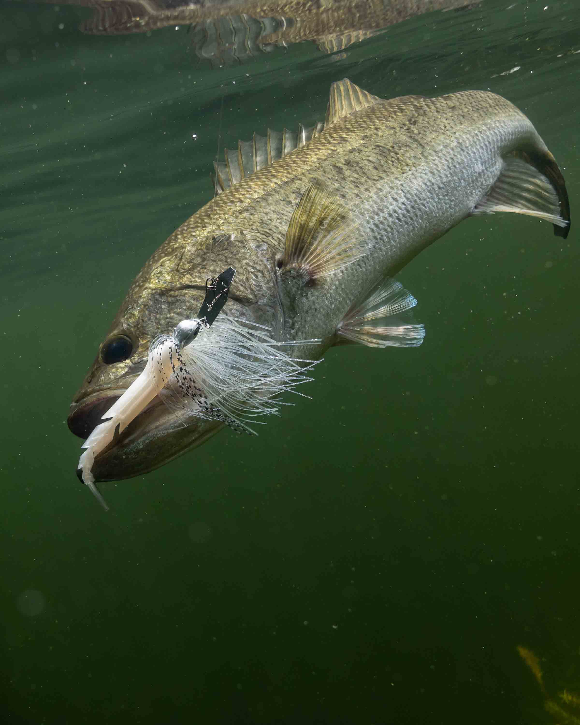 3J4A6233-2.jpg?w=819