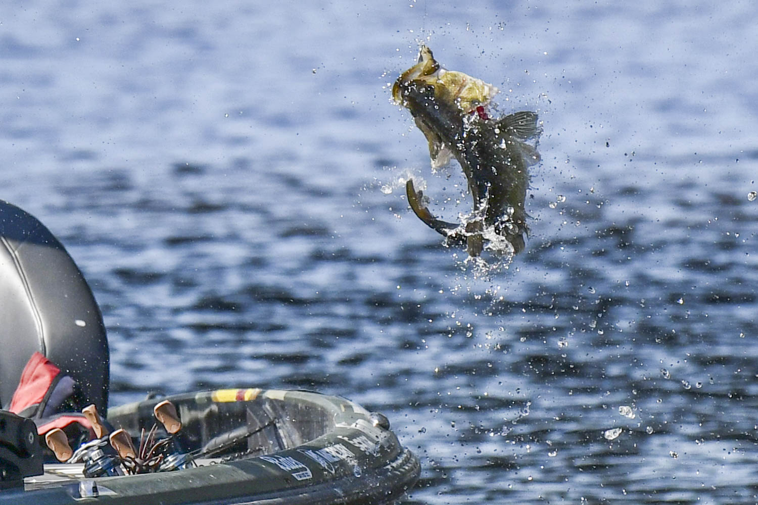 Early Day 3 action with Zaldain - Bassmaster
