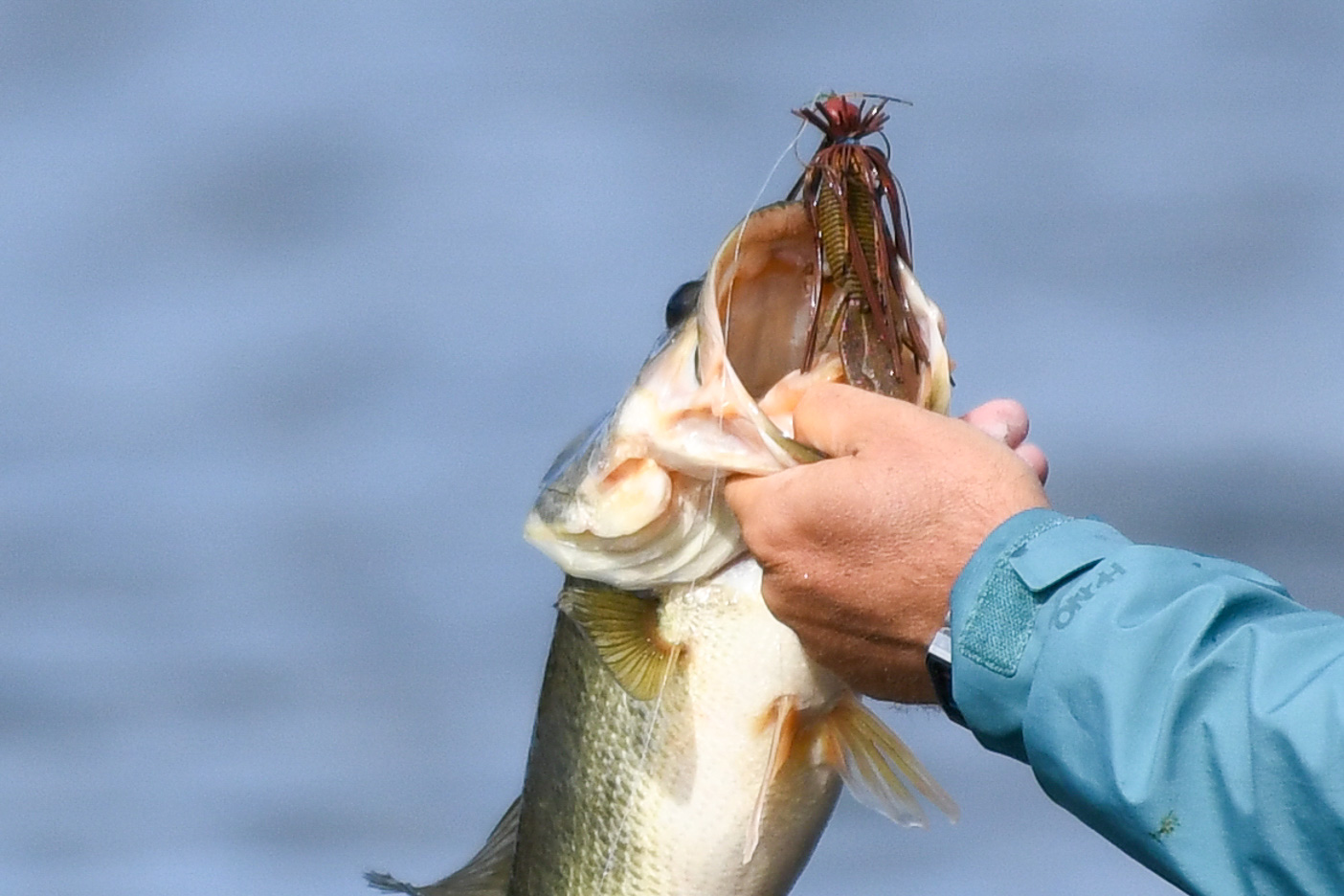 Bassmaster Fish Tournament Blog: Kayak Championship - Bassmaster